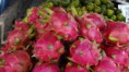 /album/galerie-photos/fruit-du-dragon-jpg/